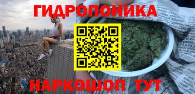 jwh Краснознаменск