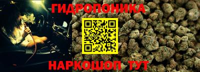jwh Краснознаменск