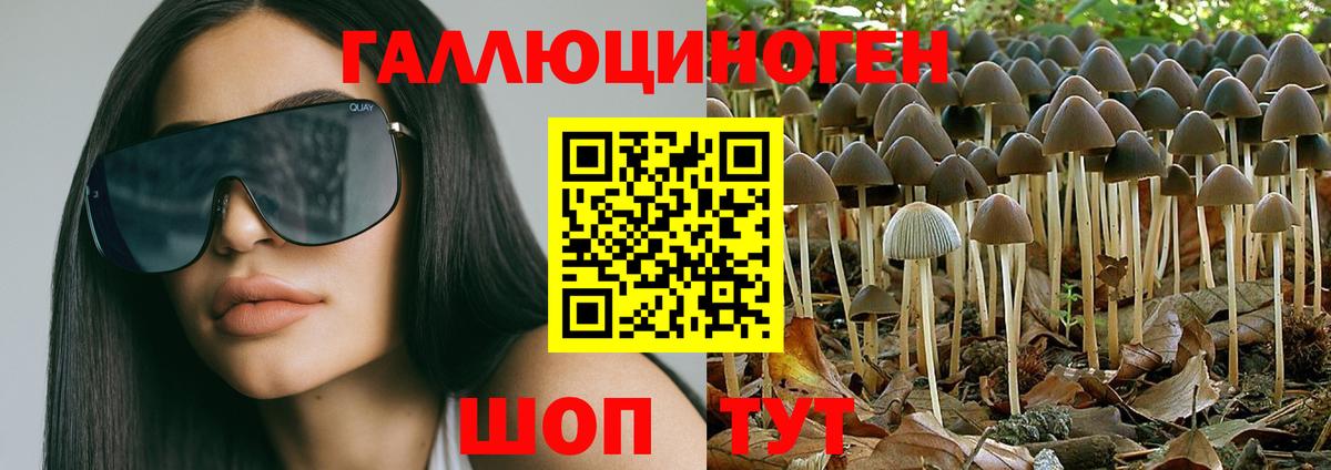 Псилоцибиновые грибы мицелий  Вход с VPN  Энгельс 