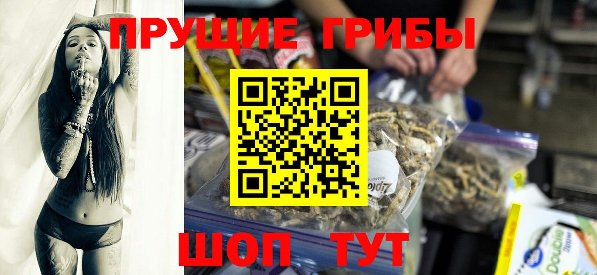 Псилоцибиновые грибы Psilocybe Энгельс